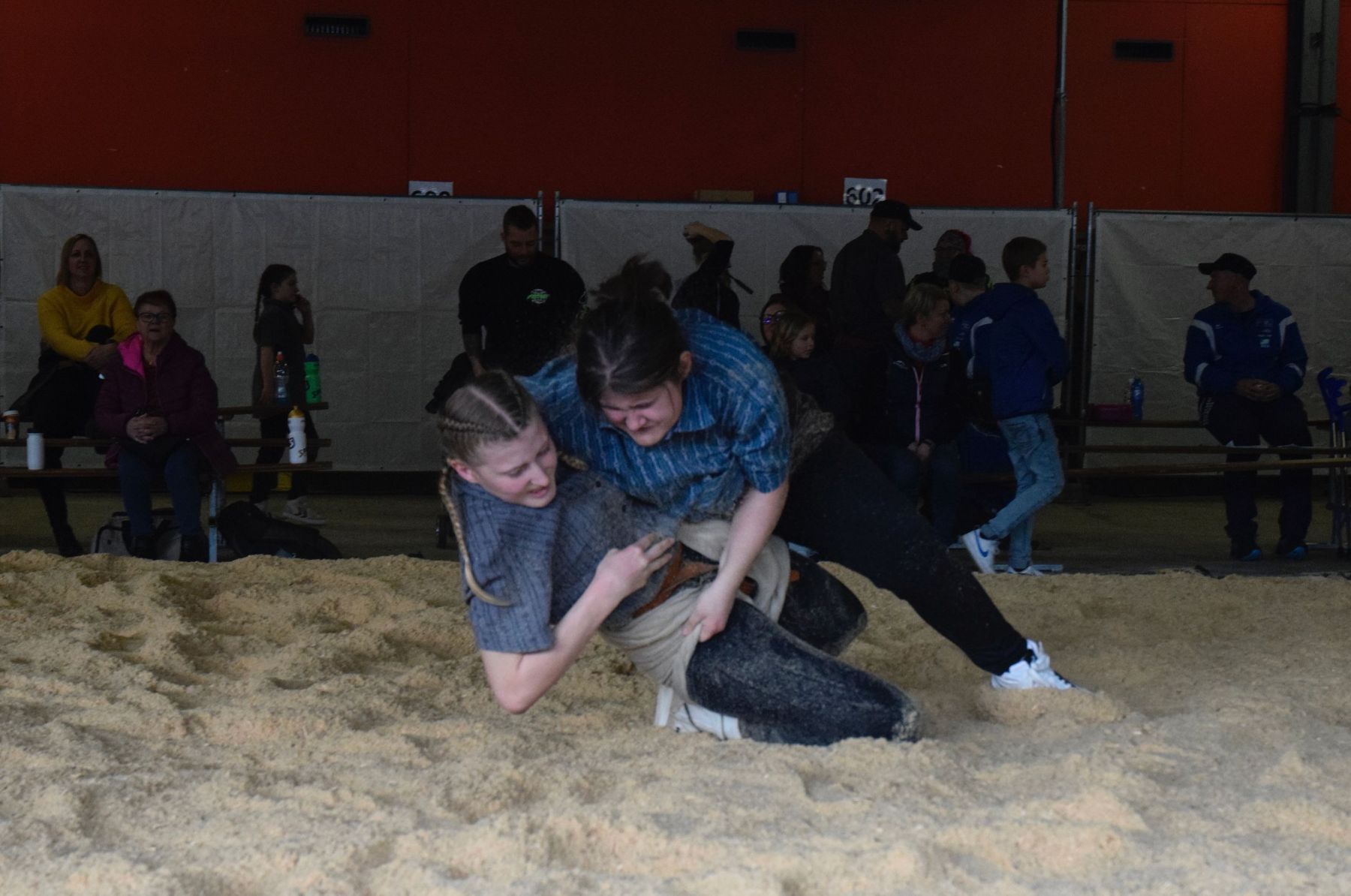 Schwingen1 Schwingen1